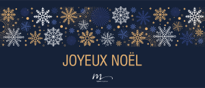 Lire la suite à propos de l’article Joyeux Noël 2021